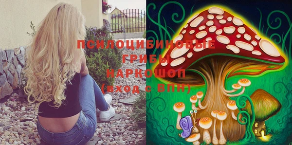 метадон Алексин