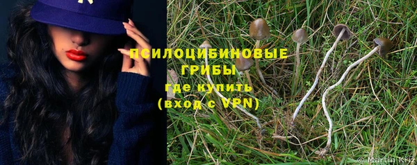 метадон Алексин