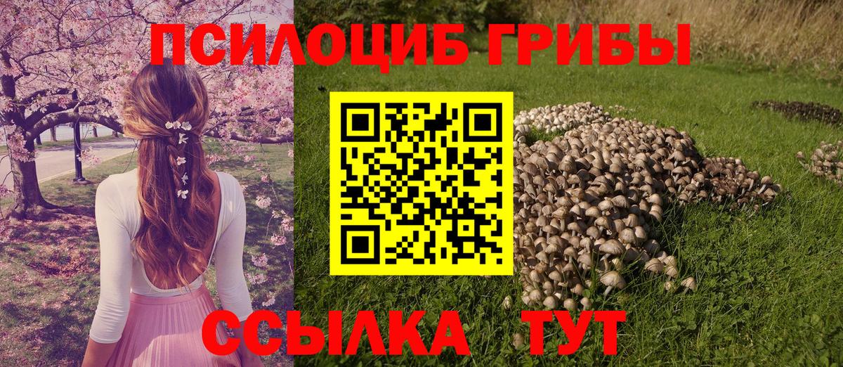 Псилоцибиновые грибы прущие грибы  Вход с VPN  Ижевск 